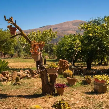 Casa Borgo Parrini * بارتينيكو